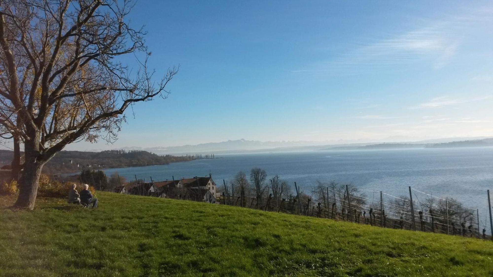 Haus Am Ettenberg Frickingen Exteriör bild
